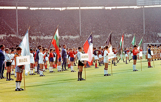 老瓦强调 老瓦强调