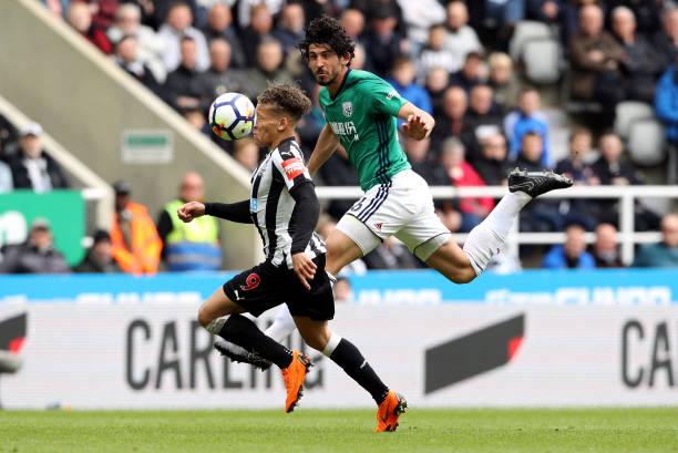 都有其独特 都有其独特