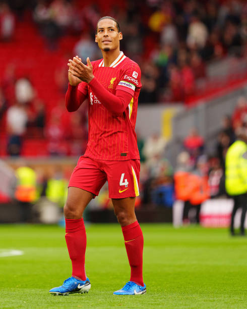 作为常年的 作为常年的