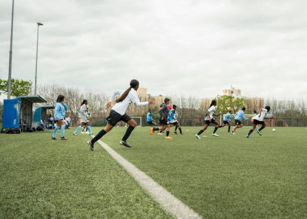 近年来一直 近年来一直